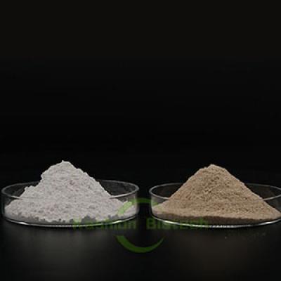 Low temperature environmental sewage treatment bacteria powder